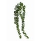 thumbnail image 1 of Planta suculenta colgante artificial 78 cm, 1 of 3