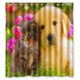 thumbnail image 1 of Cortina de ducha con diseño de pug, con ganchos, 66 x 72 pulgadas, 1 of 3