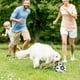 thumbnail image 2 of Pelota De Futbol Para Perros Con Agarre, 20 Cm Diámetro, 2 of 3