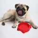 thumbnail image 5 of Comedero para gatos, alivia la fatiga de los bigotes, comederos antideslizantes, comederos poco profundos, 5 of 6