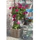 thumbnail image 5 of Estacas de riego para plantas Blumat XL Classic Automatic, paquete de 4, 5 of 9