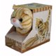 thumbnail image 1 of Gatito mecánico Westminster Casanova naranja a rayas, 1 of 4
