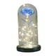 thumbnail image 2 of Galaxy Rose Flowers Forever Rose Luz LED Colorida En Estilo Domo De Vidrio, 2 of 3