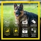 thumbnail image 4 of Collar electrónico de adiestramiento remoto de perros Dogtra ARC HANDSFREE Plus, 4 of 9