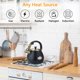 thumbnail image 4 of Hervidor Lazneyru 3 L con Silbato para Cocina, Acero Inoxidable, 4 of 8