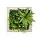 thumbnail image 1 of Jardin Vertical Vertiente, 1 of 4
