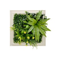 Signet - Jardin Vertical Vertiente