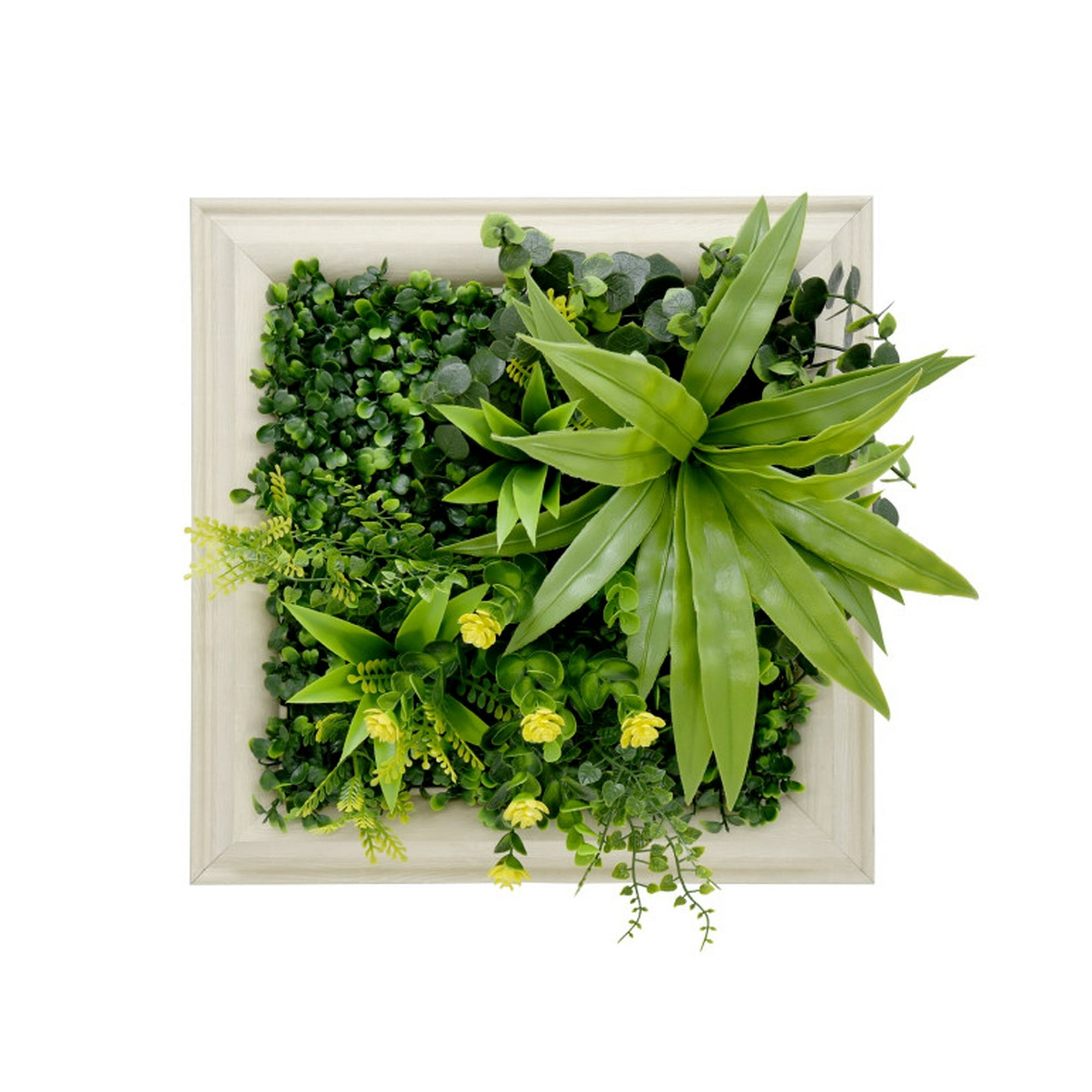 Signet - Jardin Vertical Vertiente