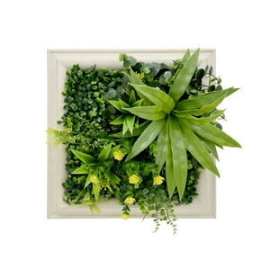 Signet - Jardin Vertical Vertiente
