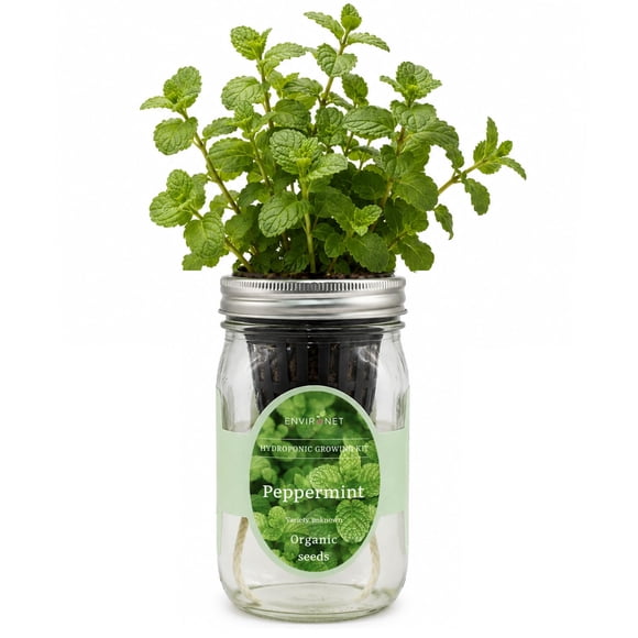 Kit de cultivo de hierbas Environet de menta piperita hidropónico para interior