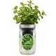 thumbnail image 1 of Kit de cultivo de hierbas Environet de menta piperita hidropónico para interior, 1 of 6