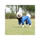 thumbnail image 4 of Chaqueta Parka Chiporro Perros Raza Pequeña Ropa Mascota Azul, 4 of 5