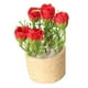 thumbnail image 4 of Mini Casa De Muñecas Flor Rosa Paisaje Estático Modelo 1/6 Decoraciones DIY Para Casa De Muñecas Rojo, 4 of 5