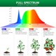 thumbnail image 3 of SANSI LED Grow Light Bulbs 3Pack, 10W Full Spectrum, E26 Base, 3 of 3