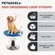 thumbnail image 4 of Uxcell Lazos de Aseo para Perros, Correa de Restricción Extensible de Nylon para Mesa (Naranja, Púrpura, 2 Piezas), Destinado para Correa de Baño Fijo Corte de Pelo Lavado, 4 of 7