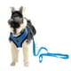 thumbnail image 2 of Arnés Reflectante y Correa para Perros Mascotas Azul Talla S, 2 of 3