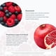 thumbnail image 3 of Suplemento Antioxidante Resveratrol 100mg 290 Tabletas, 3 of 3
