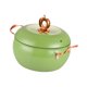 thumbnail image 5 of Olla De Sopa Antiadherente, Accesorios Para El Hogar, Cazuela De Cocina Para Comedor, Cocina, Verde, 5 of 5