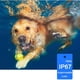thumbnail image 4 of Collar De Adiestramiento Para Perros, Resistente Al Agua Ip67, Con 4 Modos De Adiestramiento (pitido/vibración/choque De Seguridad) Y Luz Led, Adecuado Para Perros Grandes, Medianos Y Pequeños, 4 of 5