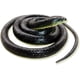 thumbnail image 1 of 10 serpientes de goma falsas realistas, negras, que parecen reales, para bromas. Serpiente cobra de 124 cm de largo., 1 of 7