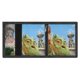 thumbnail image 4 of Billetera Jane y el Dragón Trifold, 4 of 6