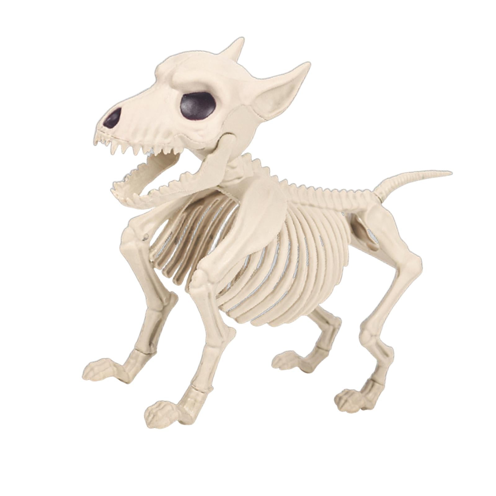 Magideal - Decoración Para Fiesta De Halloween, Escultura De Esqueleto De Perro, Versátil Para Decorar Escenas De Miedo, Figura De Esqueleto De Animal, Huesos De