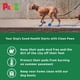thumbnail image 3 of Botas para perros Protex PawZ de goma para todo tipo de clima, impermeables, negras, 3 of 7