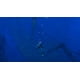 thumbnail image 5 of Videojuego Nintendo Switch Endless Ocean Luminous, 5 of 7