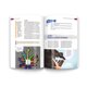 thumbnail image 2 of Viviendo la Justicia y la Paz – Saint Mary's Press, 2 of 8