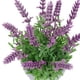 thumbnail image 2 of Lavanda Morada En Macetero 25 Cm, 2 of 2