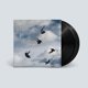 thumbnail image 1 of Vinilo Virgin Rookery de Giant Rooks, 1 of 1