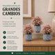thumbnail image 2 of Set 3 Plantas Artificiales Flores Velo de Novia Decoracion rosa, 2 of 6