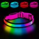 thumbnail image 1 of Collar LED PWOD Mediano Rosa Impermeable, 1 of 7