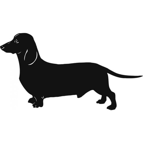 Rienda Libre Graphics - Decomural Dachshund Dog Pet Animals Ws-18710