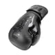 thumbnail image 5 of Guantes de Boxeo Venum Elite Evo Negro Negro, 5 of 5
