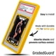 thumbnail image 2 of Protector de Cartas GradedGuard Metálico Mate Oro 35pt, 2 of 4