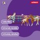 thumbnail image 3 of Set de juguetes Schleich Horse Club Lisa's Tournament Training, 17 piezas, 3 of 8