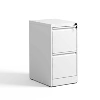 M&Ms - 2 Drawer Metal Vertical File Cabinet With Lock Office Home Steel Vertical File Cabinet For A4 Legal/Letter Size