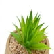 thumbnail image 2 of Cactus artificial 18cm, 2 of 2