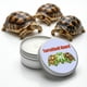 thumbnail image 5 of Bálsamo acondicionador para caparazón de tortuga RONDURE TortoShell 75 ml, 5 of 7