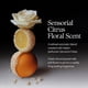 thumbnail image 4 of Set De Regalo De Crema Para Manos Piedmont Nutritiva 40 Ml X 2, 4 of 7