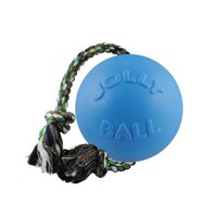 Juguete Para Perros Jolly Pets Romp-N-Roll Cuerda Con Pelota 11.5 Cm Pequeño