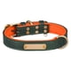 thumbnail image 1 of Collar De Perro Personalizable Con Etiqueta De Nombre Personalizada Para Animales De Interior, Gatos, Cachorros, Verde, XL, 1 of 5