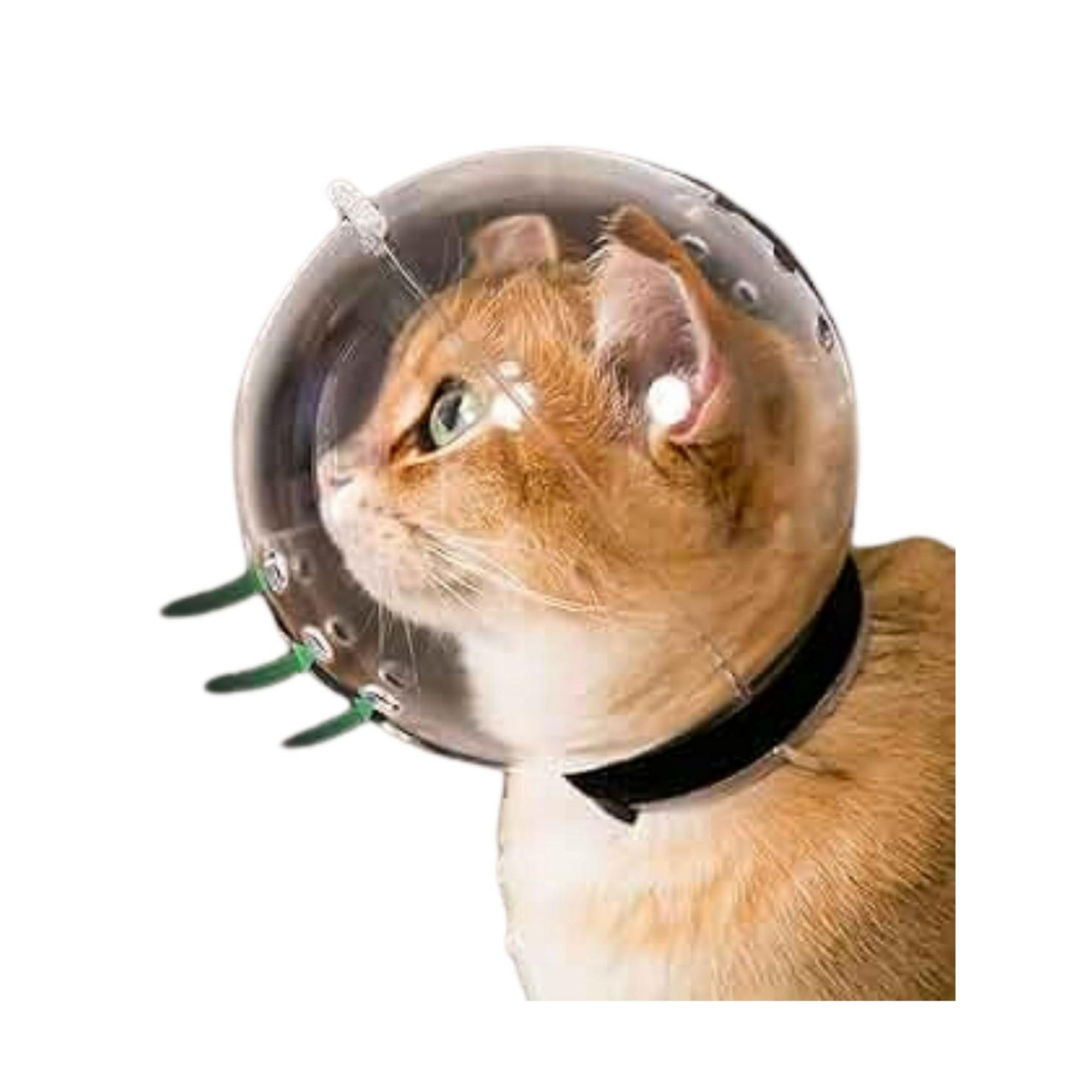 Bozal Cupula para Gatos protector anti Mordidas - 84 mm blanco L