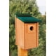 thumbnail image 2 of Plástico reciclado Birdhouse Woodlink Going Green Bluebird House, 2 of 8