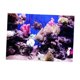 thumbnail image 4 of Póster De Paisaje De Pecera De Acuario 3D, Fondo De Pared De Pecera, 76x56cm, 4 of 5