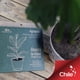 thumbnail image 2 of Discos Agropelo Natural 30cm, Mulch De Ahorro Hidrico Para Maceteros, 2 of 2
