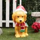 thumbnail image 3 of Decoración Navideña Iluminada de Perro Golden Retriever con Sombrero de Santa, 61 cm – Alpine, 3 of 4