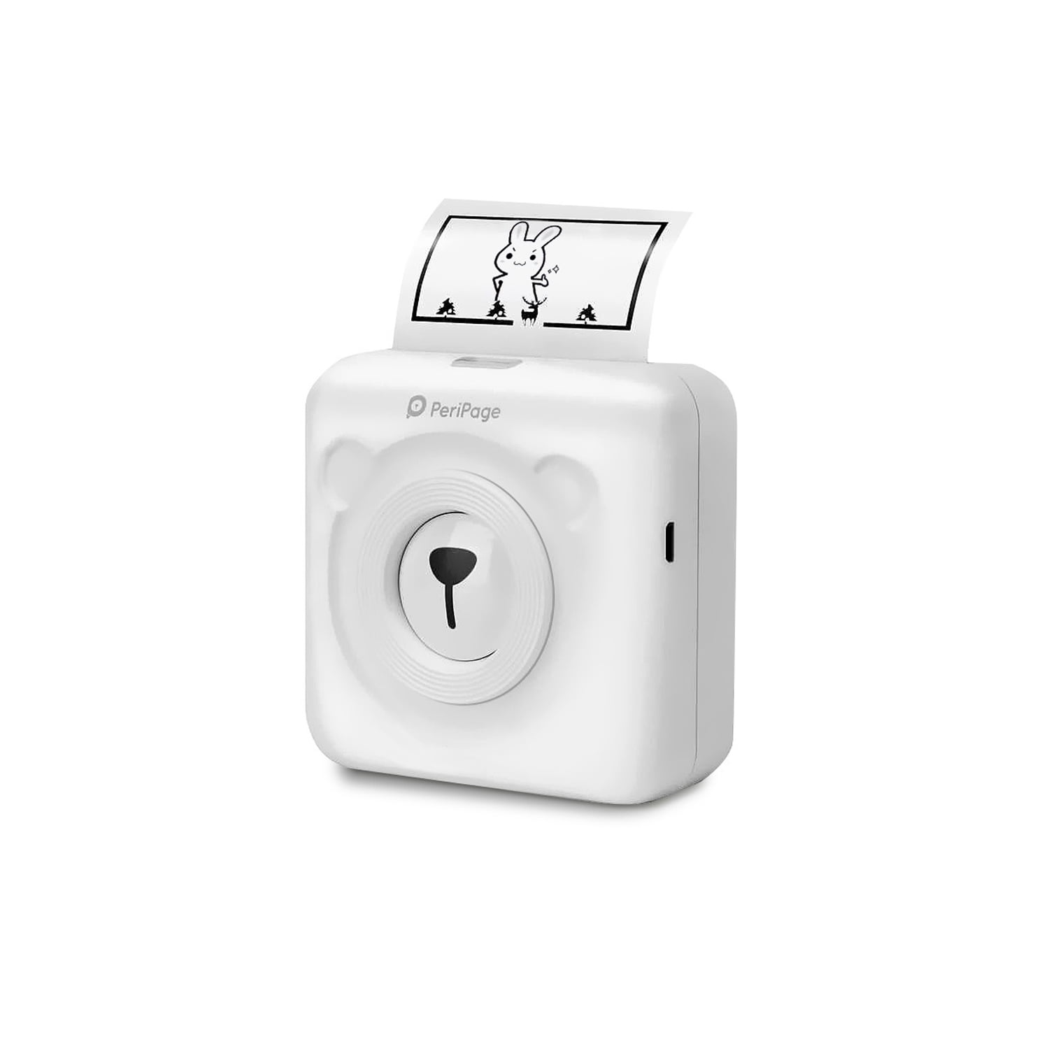 Impresora Térmica Portátil Bluetooth Peripage - Ps