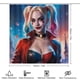 thumbnail image 2 of Juego de Cortina de Ducha 4 Piezas Harley Quinn Desmarcar, 2 of 6
